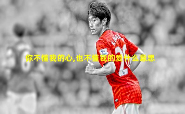 你不懂我的心,也不懂我的爱什么意思