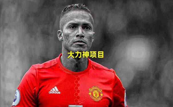 大力神项目