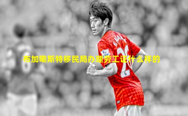 布加嘞斯特移民局办理劳工证什么样的